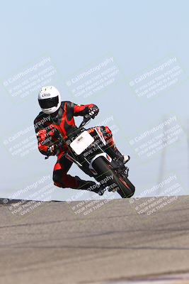 media/Oct-06-2025-2WTD (Mon) [[90522c3a0b]]/B Group/1120am (Grapevine)/